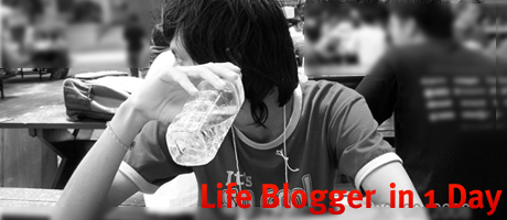 lifeblogger