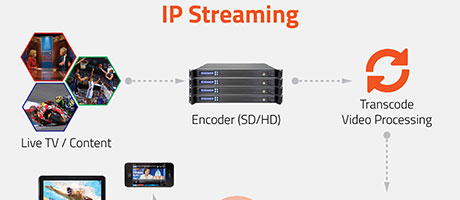 IP-Streaming